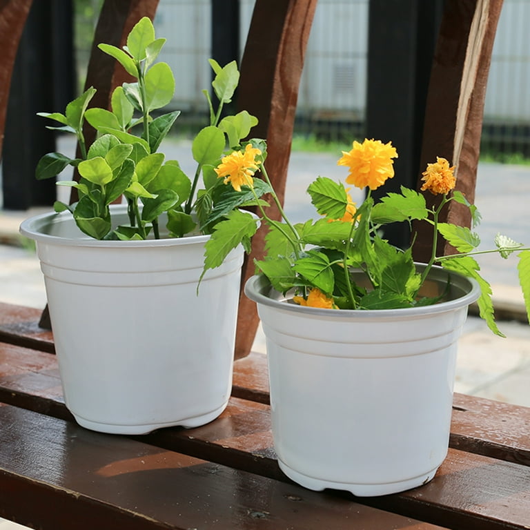 T4U Plastic Planter with Saucer 8.5 Inch Root Control Set of 6 Dark Green Flower Plant Pot Nursery Seedling Planter Modern Container 1.2 Gallon Outdoor Indoor Use for All House Plants Herbs Cactus T4U Plastic Planter with Saucer 8.5 Inch Root Control Set of 6 Dark Green Flower Plant Pot Nursery Seedling Planter Modern Container 1.2 Gallon Outdoor Indoor Use for All House Plants Herbs Cactus